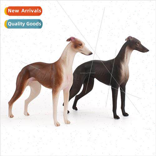 Solid Canine Animal Model Australian Greyhound ngerie Brown