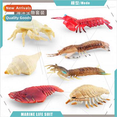 pimpimp shrimp pipefish shrimp snowman crab snail king gastr
