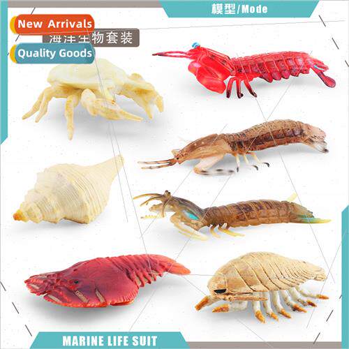 pimpimp shrimp pipefish shrimp snowman crab snail king gastr