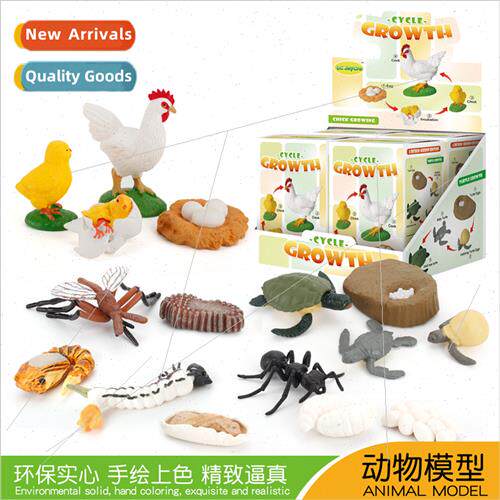 Solid frog animal growth cycle toys blind box turtle chick h