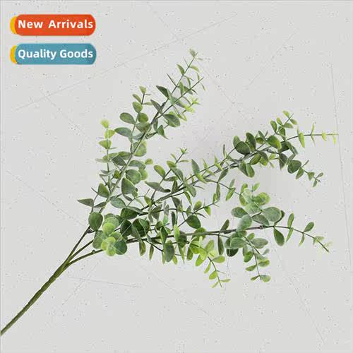 Scandinavian ins eucalyptus leaves home living room flower a