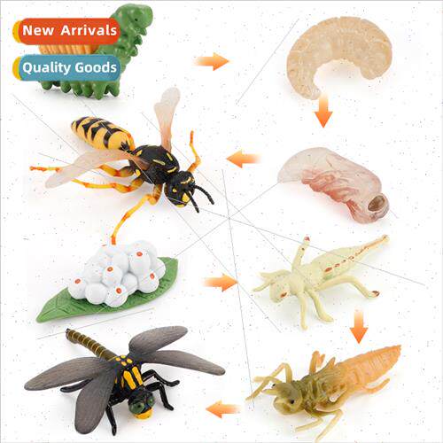 mulation wild insects animals dragonfly wasp model growth cy