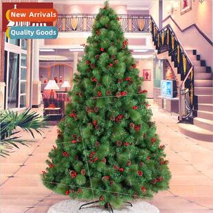 needle pine red fru small cones 240CM mixed 2.4M