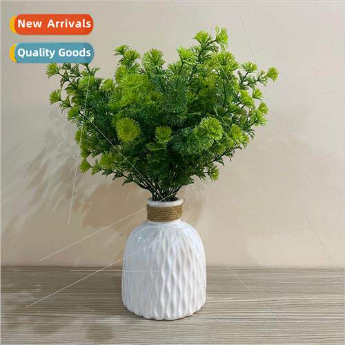 mulation green plants in herb living room indoor floor decor