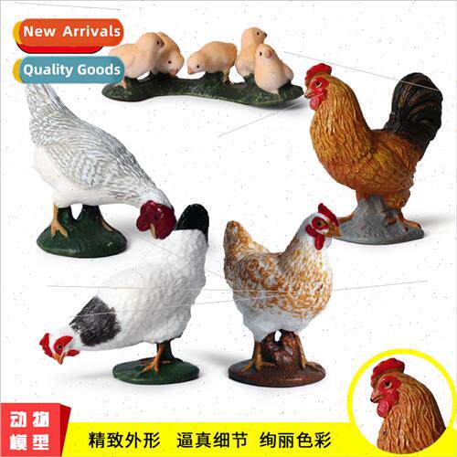 wildlife model poultry pecking rice yellow rooster hen chick