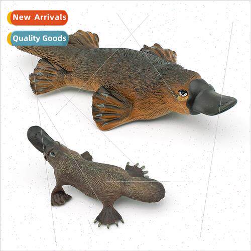 Wild Mammal Platypus Model Children Early Learning Australia