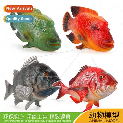 Marine animal model tropical ornamental fish sauger red silk