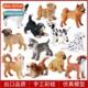 golden model retriever shiba chihuahua simulation inu animal