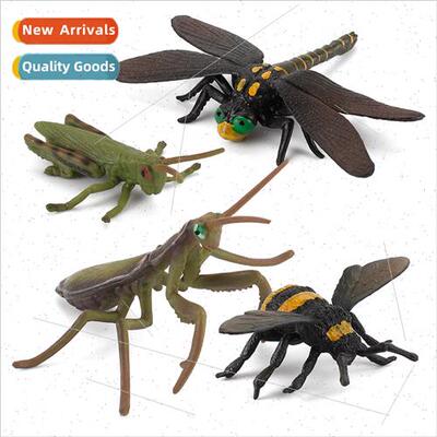 praying mantis grasshopper dragonfly bee hpuppet children co