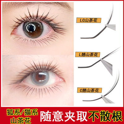 JIECILIA山茶花嫁接睫毛