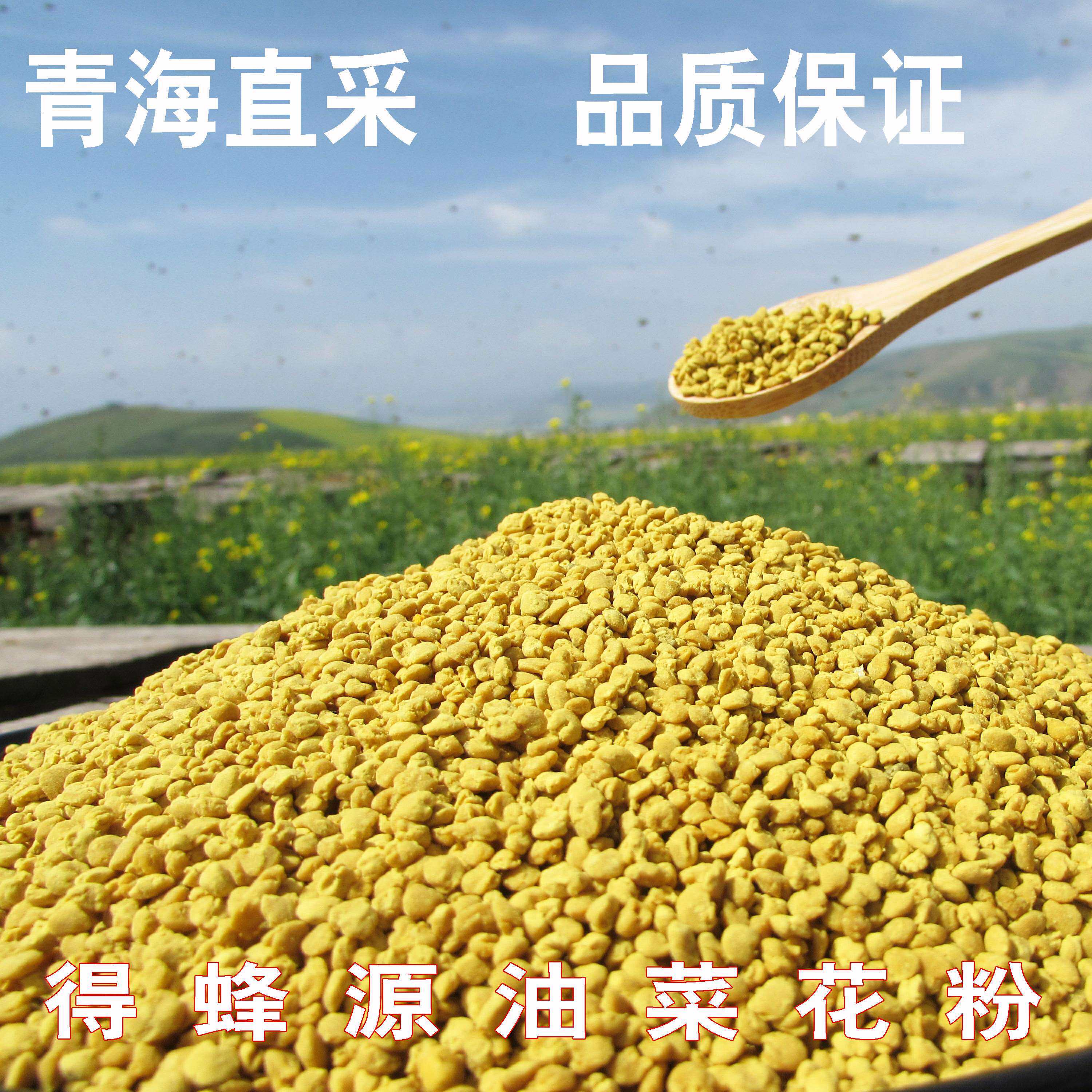 Canola flower powder Prostate edible green No add adult 500g Native Desensitization fresh Bee Pollen grainin the Traditional nourishing food , Bee , Bee Pollen  category - from Buy2taobao.com to provide professional Taobao agent buy service