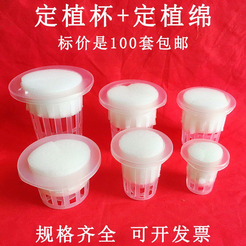 水培定固根器无土栽培蔬菜设备塑料加深种植杯加定植海绵在类目 鲜花速递/花卉仿真/绿植园艺, 园艺用品, 其它园艺用品中 - 来自Buy2taobao.com提供专业的淘宝代购服务