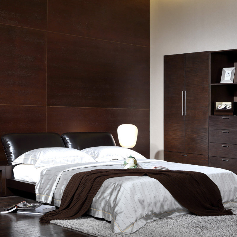 楷模 大普-现代简约轻奢床主卧双人床卧室电动靠背db12床