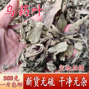 中药材乌药叶 自然晒干无硫500克包邮