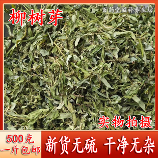 新货柳芽 中药材 柳树芽 柳芽 嫩柳芽 柳芽茶 下火茶 250克包邮