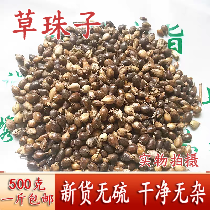 中药材草珠子 新货带壳薏米 薏米种子无硫无熏纯野生打碗子五谷子