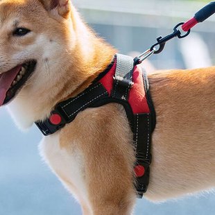 Small and medium size dog dog leash puppy chest harness dog