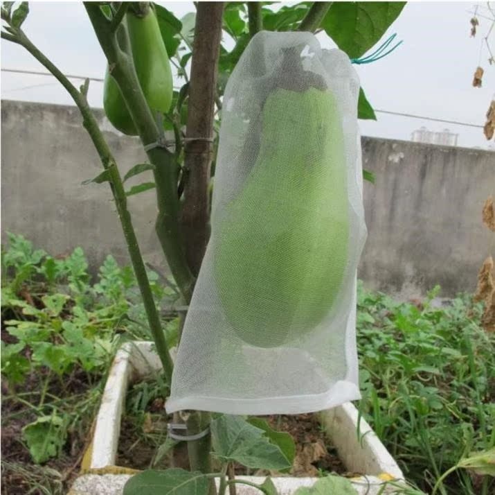 Filter bags household Bag Gauze greenhouse nylon monolayer Plastic Fruit tree customized Netbag strawberry Hoodsin the Flower delivery/Flowers simulation/Plants gardening , Gardening supplies , Other Garden Supplies  category - from Buy2taobao.com to provide professional Taobao agent buy service