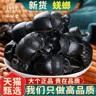 正品新货野生蜣螂中药材100g/50g屎壳郎 圣甲虫大将军 清水蜣螂虫