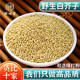野生正品 白芥子500g白介子辣菜子芥菜子中药材好白芥籽泡茶可磨粉