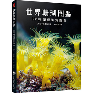 中国民族摄影艺术出版 小林道信 300幅珊瑚鉴赏图典 生活 日 生活休闲 世界珊瑚图鉴 译 社 著;秦小兵