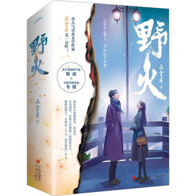 野火(飞机盒版) 云拿月 青春小说 文学 青岛出版社
