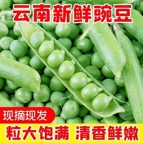 蔬菜新鲜豌豆自种产地直发