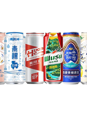 风花雪月千岛湖精酿啤酒组合罐装