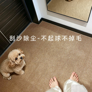 仿剑麻菠萝猫抓地毯家用地垫防滑耐磨
