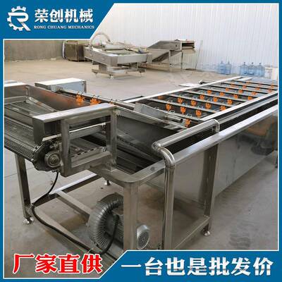 谷熟菌清洗机蟹味菇白菇气泡冲浪清洗机果蔬加工设备厂家生产