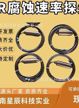 管网阴极保护ER腐蚀速率探头油井套管电位检测ER腐蚀速率仪厂家