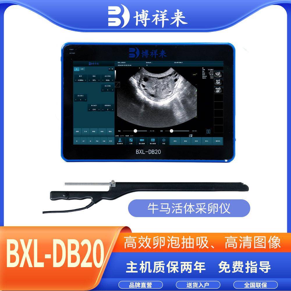 牛用活体采卵仪博祥来OPU牛马采卵B超机BXL-DB20效活体采卵B