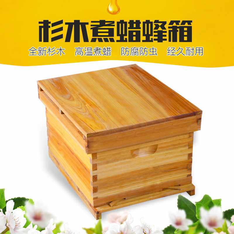 蜜蜂箱中蜂煮蜡标准十框全杉木蜂箱意蜂全套养蜂工具蜂农高产机械