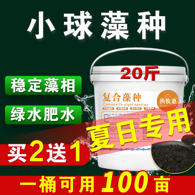 浓缩小球藻藻种绿水覆合藻种肥水培藻水产养殖专用卵囊藻硅藻藻种