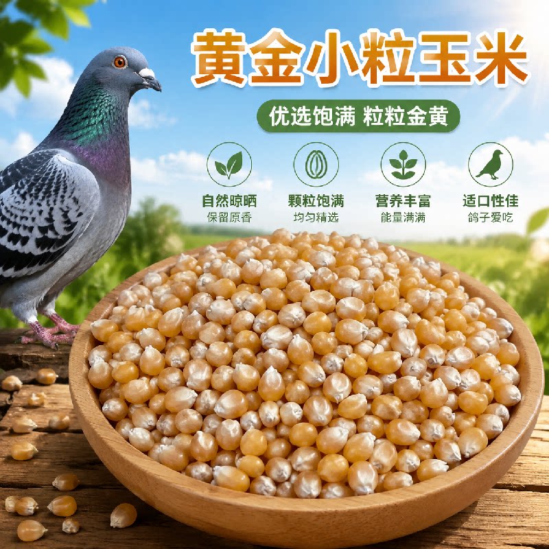 东北玉米颗粒干玉米鸡鸭鹅饲料鸟食观赏鸽信鸽肉鸽粮食钓鱼打窝