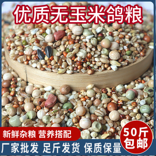 50斤精品无玉米鸽粮赛飞营养饲料鸟食信鸽观赏鸽肉鸽粮鸽子食包邮