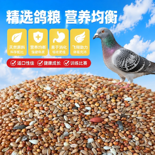 无玉米无豌豆鸽粮鸟食斑鸠幼鸽信鸽观赏鸽肉鸽成鸽日常保健饲料