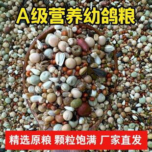 幼鸽粮无玉米鸽子粮幼鸽成鸽观赏鸽肉鸽信鸽精品鸽子饲料