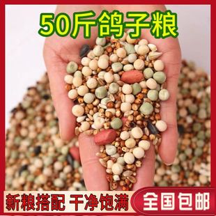 50斤鸽子粮喂鸽子粮食营养饲料鸟食幼鸽信鸽赛鸽肉鸽成鸽粮 包邮