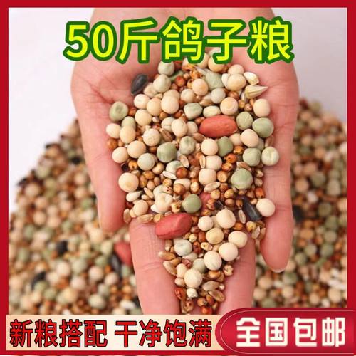 50斤鸽子粮喂鸽子粮食营养饲料鸟食幼鸽信鸽赛鸽肉鸽成鸽粮包邮