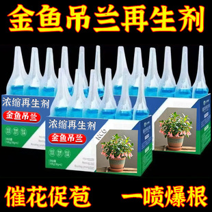 金鱼吊兰通用再生剂浓缩植物形营养液养花卉盆栽家庭园艺水溶肥料
