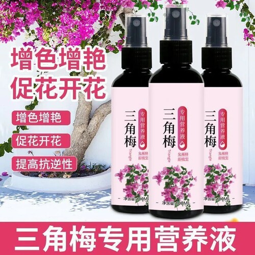 三角梅营养液速救补微量元素抗性