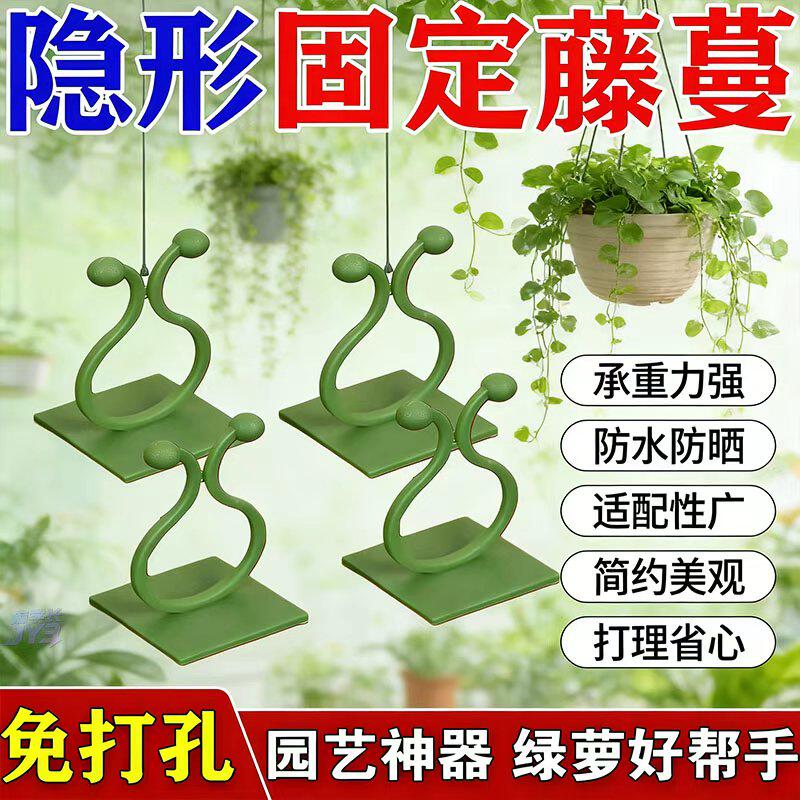 绿萝三角梅爬墙固定器100个大号固定器绿植攀爬夹其它园艺用品