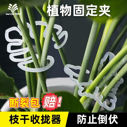 沃施防倒伏枝干支撑固定器
