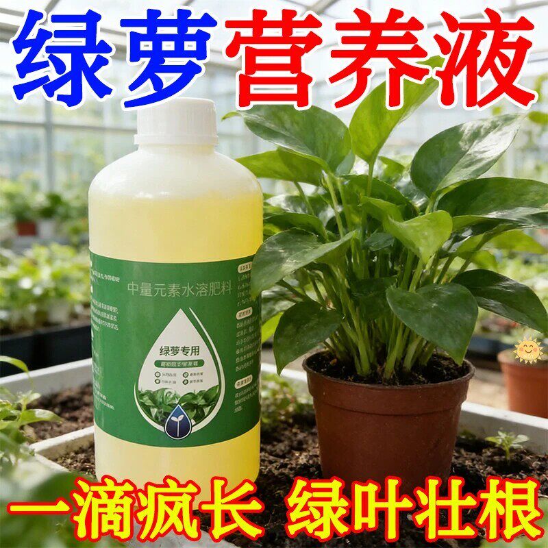 绿萝专用营养液免稀释促根护叶