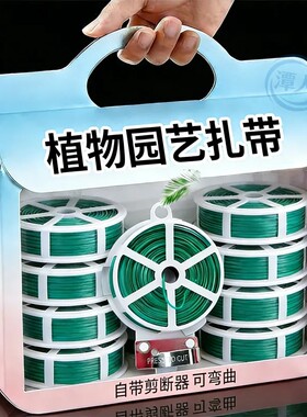 加粗加长耐磨PE园艺捆绑线600m