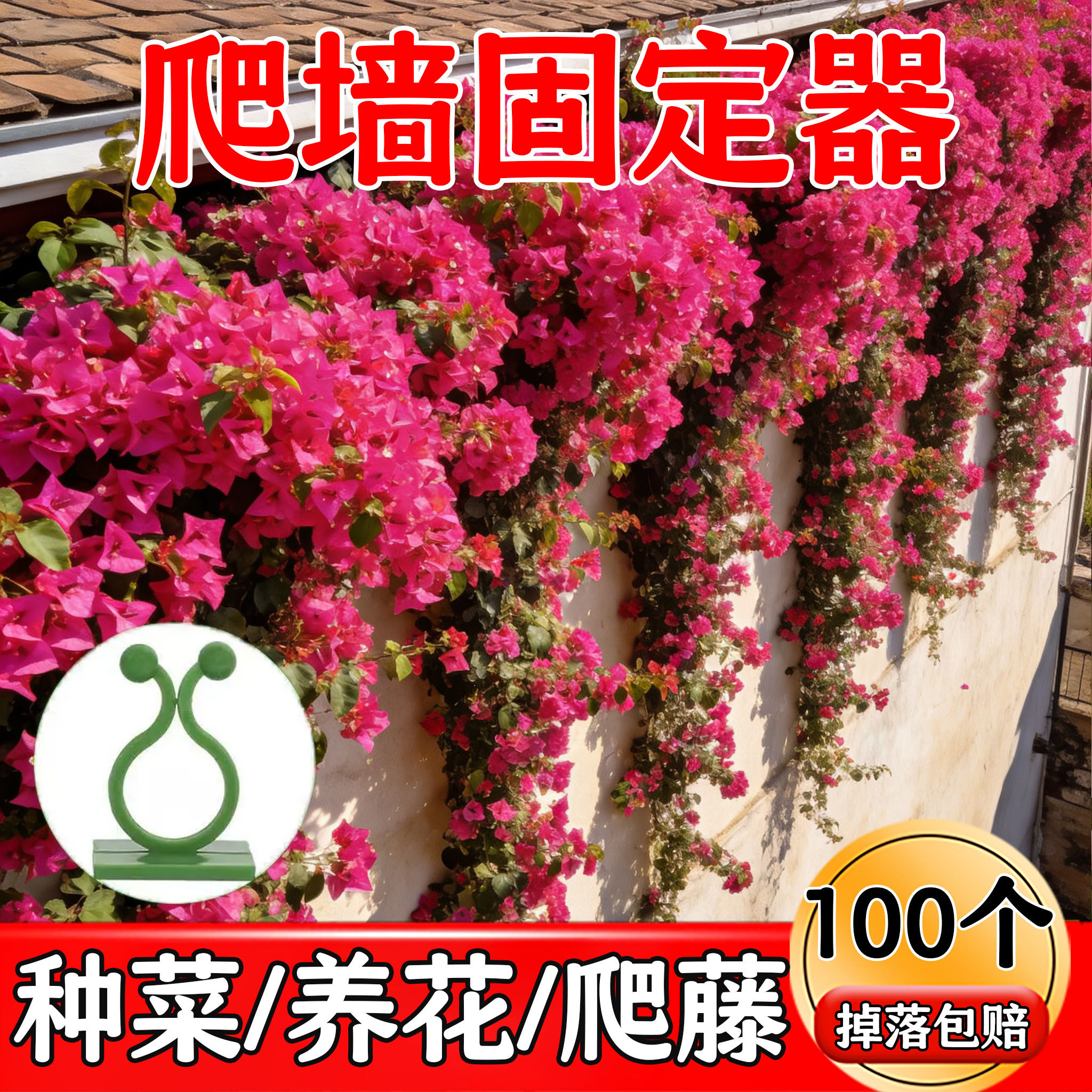 三角梅爬墙无痕挂钩固定器图片