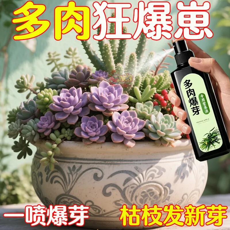多肉烂根专用杀菌剂叶子黑腐化水掉叶白粉烟煤病百菌清肥料礼品
