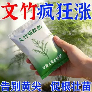 四季常绿文竹爆芽促长叶面肥