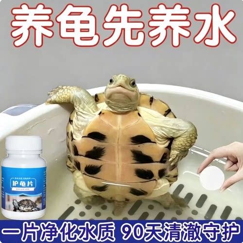 护龟片500片净水杀菌不伤龟
